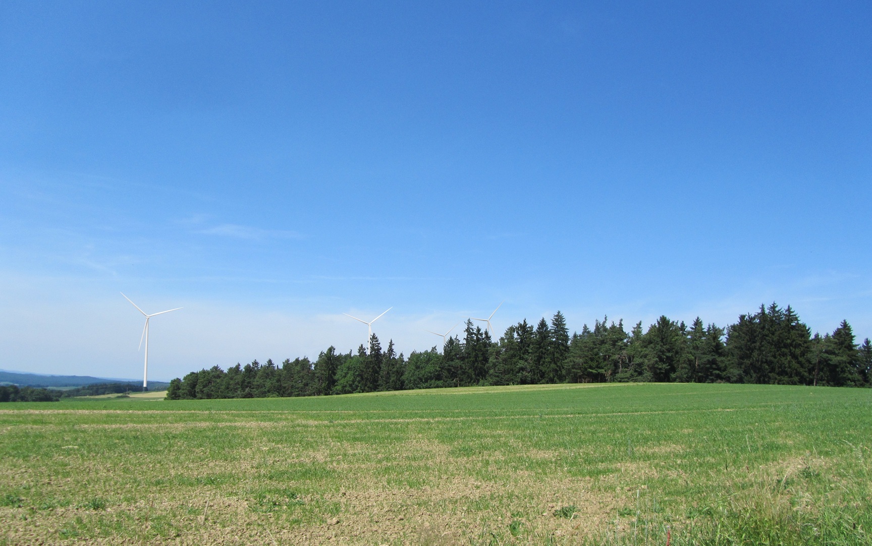 FP06_1.jpg
